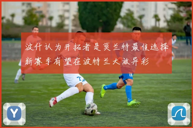波什认为开拓者是莫兰特最佳选择新赛季有望在波特兰大放异彩