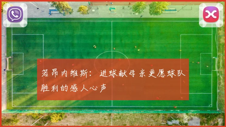 若昂内维斯：进球献母亲更愿球队胜利的感人心声